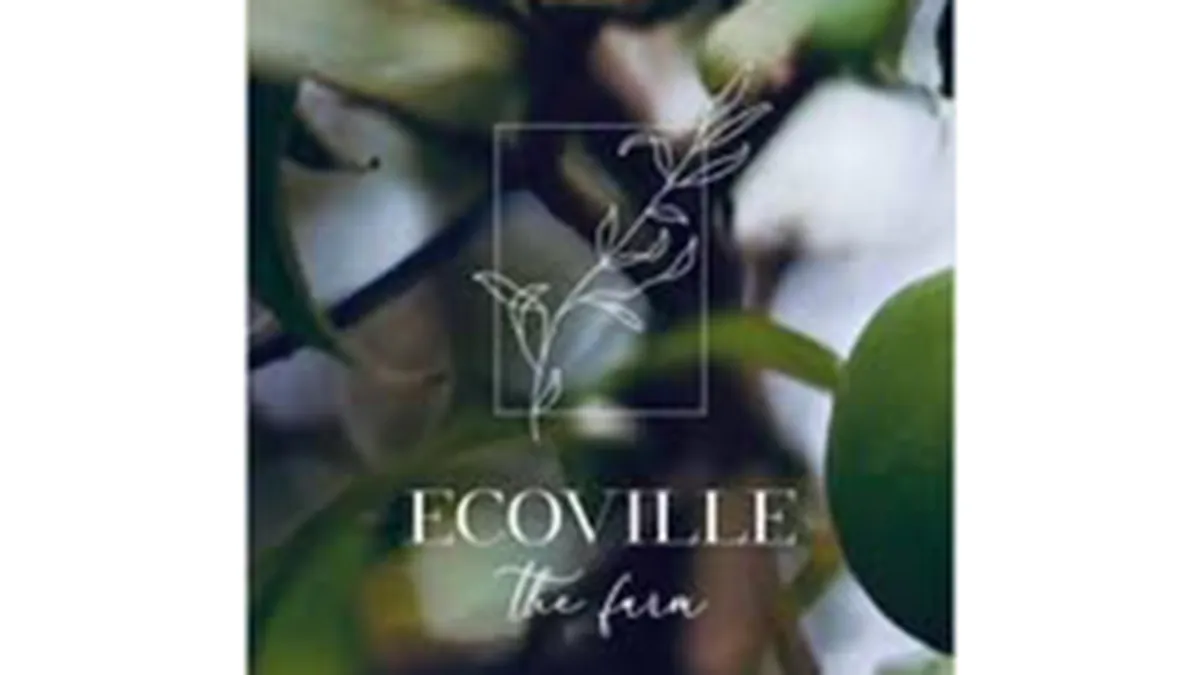 Ecoville- The Farm 1