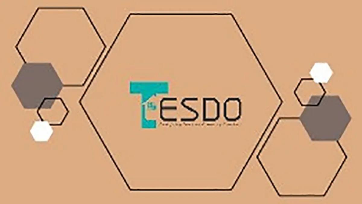 Tesdo Interiors 1