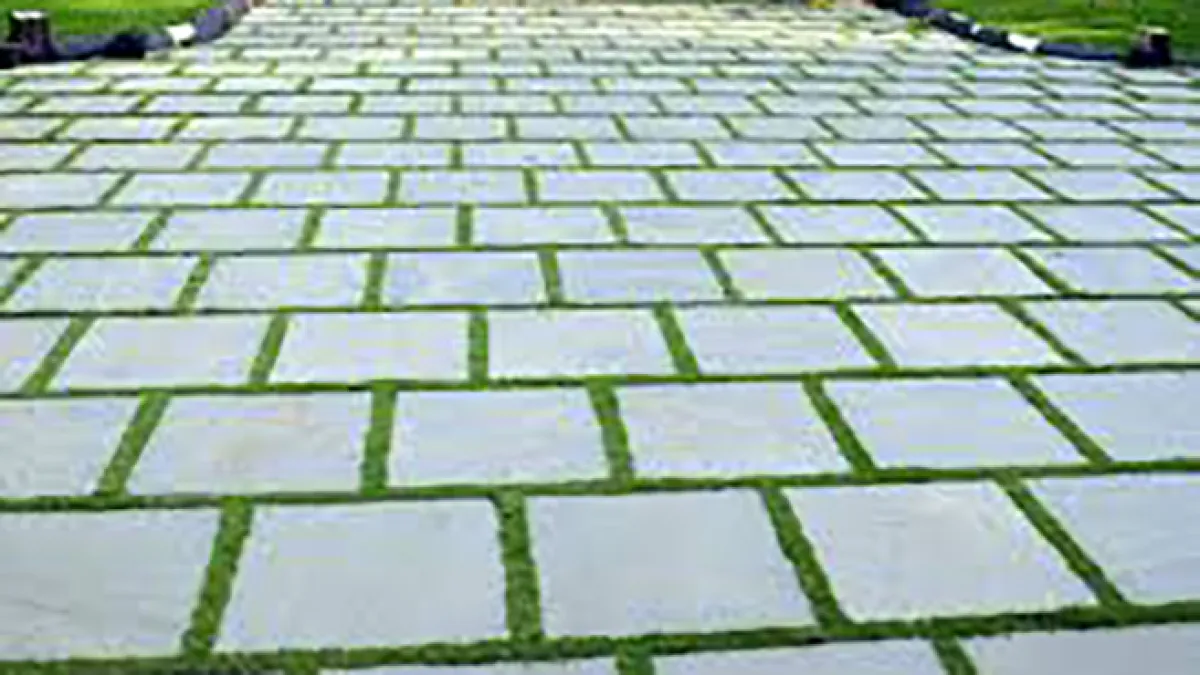 Thadathil Natural Stones and Bangalore Stones 1