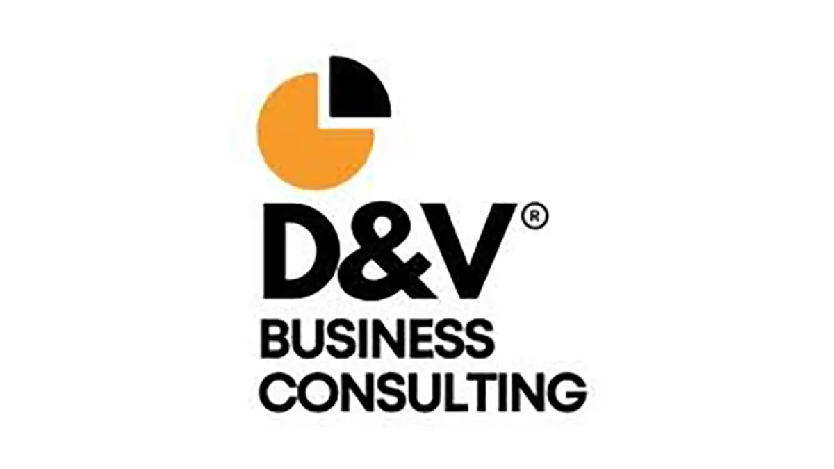 D&V Business Consulting 1