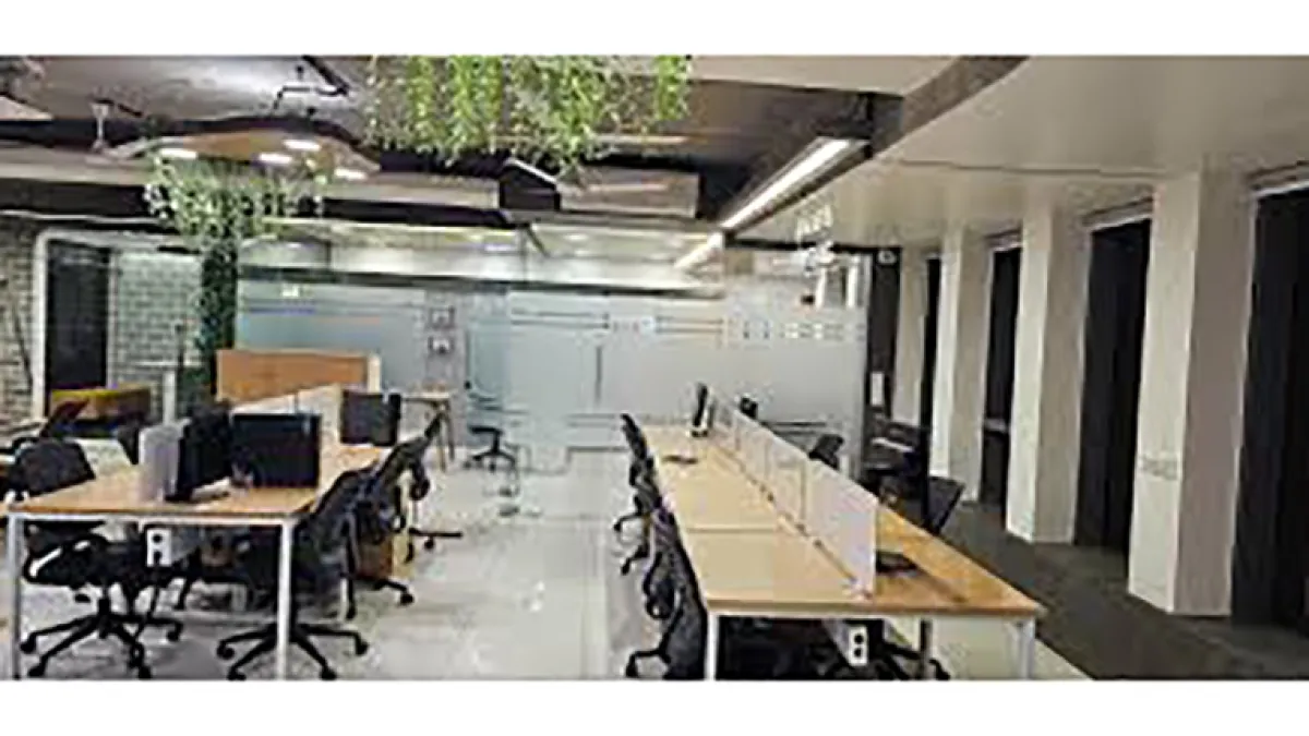 D&V Business Consulting 2