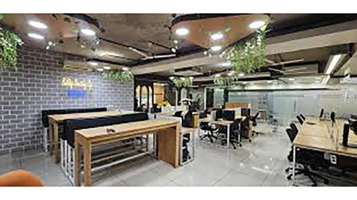 D&V Business Consulting 3