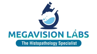 Megavision Labs Pvt Ltd