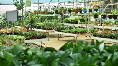 Jagtap Nursery's Garden Centre, Pune