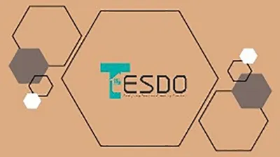 Tesdo Interiors