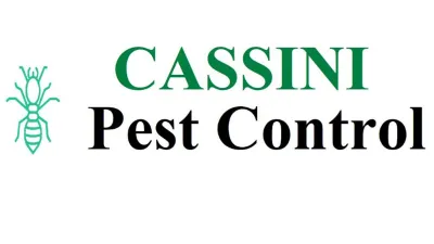 Cassini Pest Control Services in Chennai
