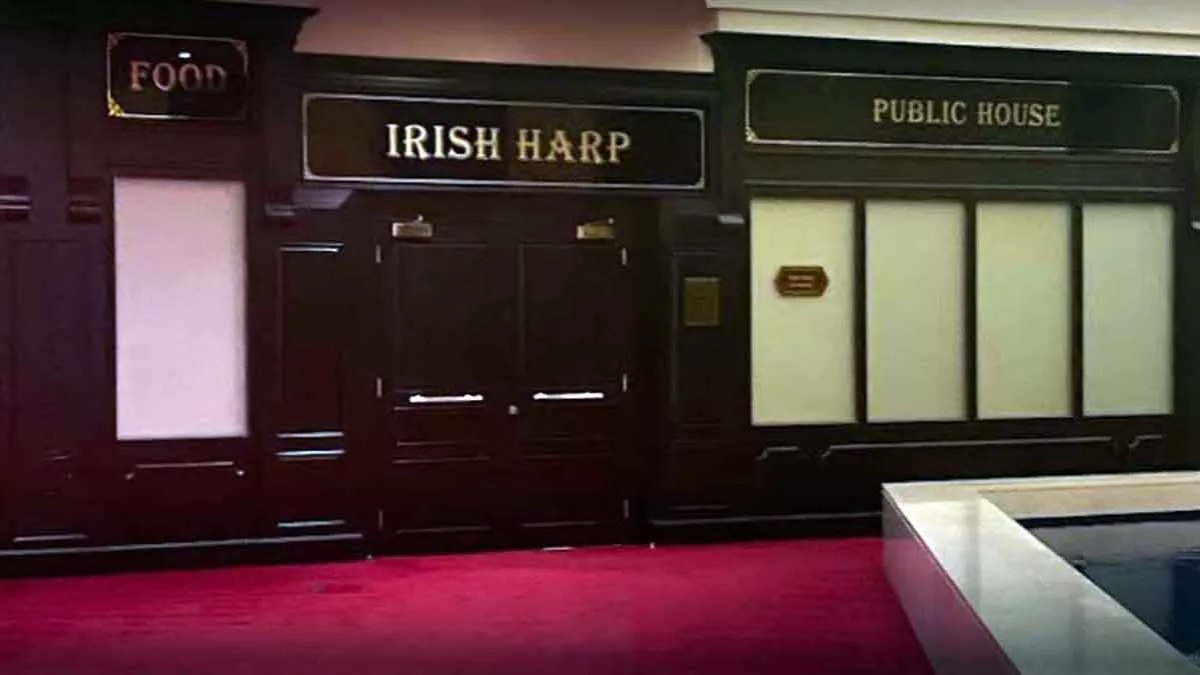 The Irish Harp 7