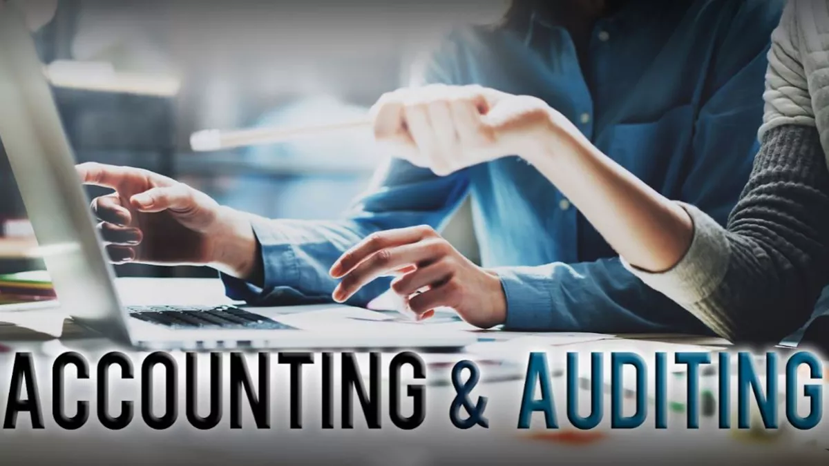 Ansari Auditors & Accountants Qatar 1