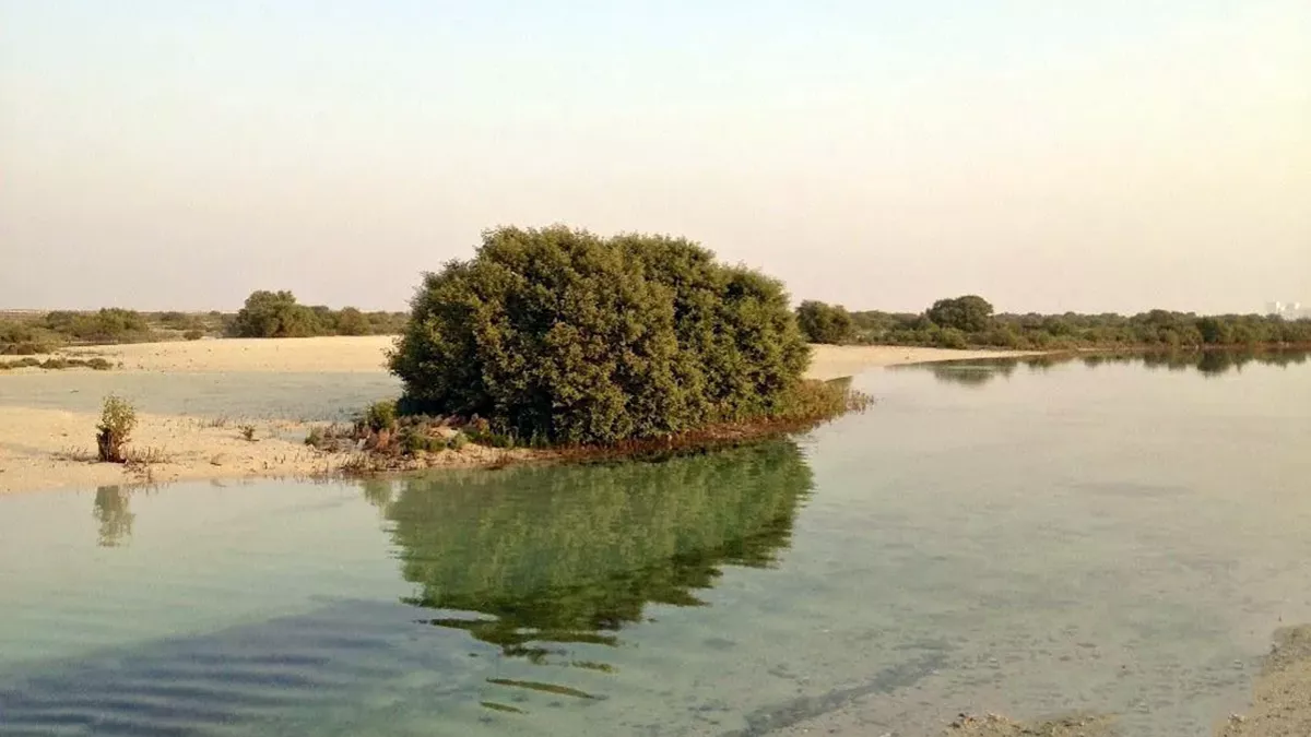 Al Jassasiya Beach 2