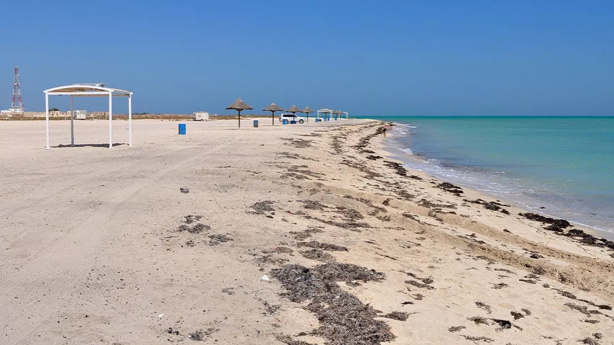 Al Ghariya Beach 5