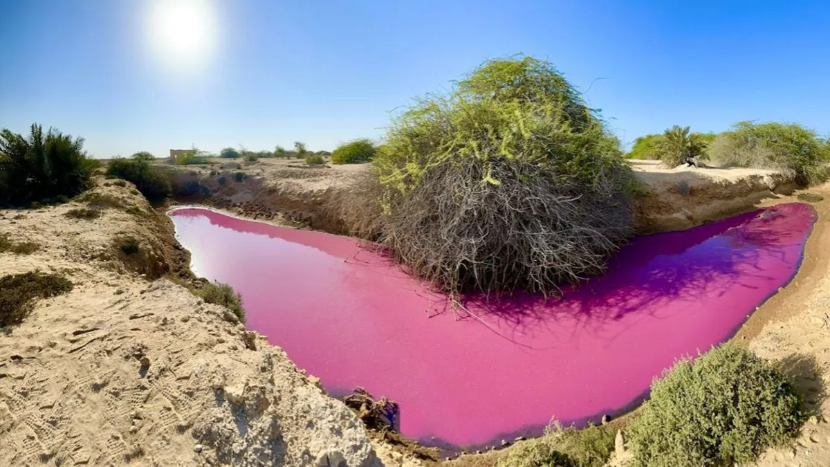 Ektshef Deerti Center 1