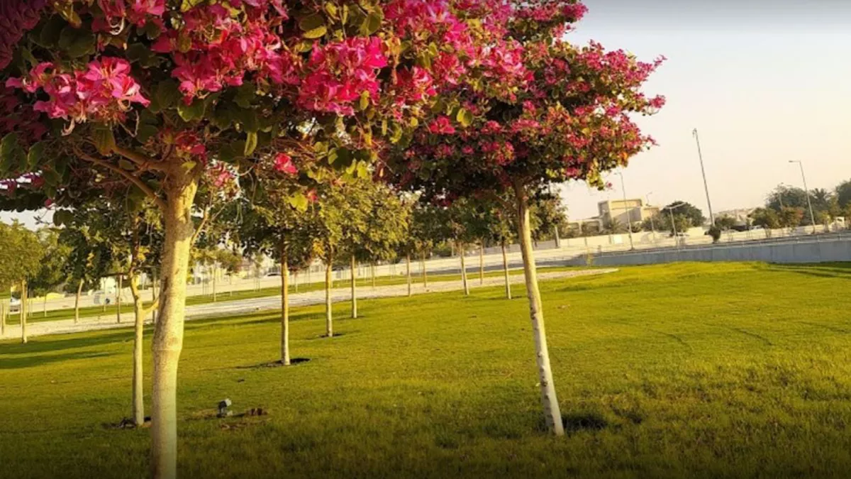 Al Rayyan Park 1