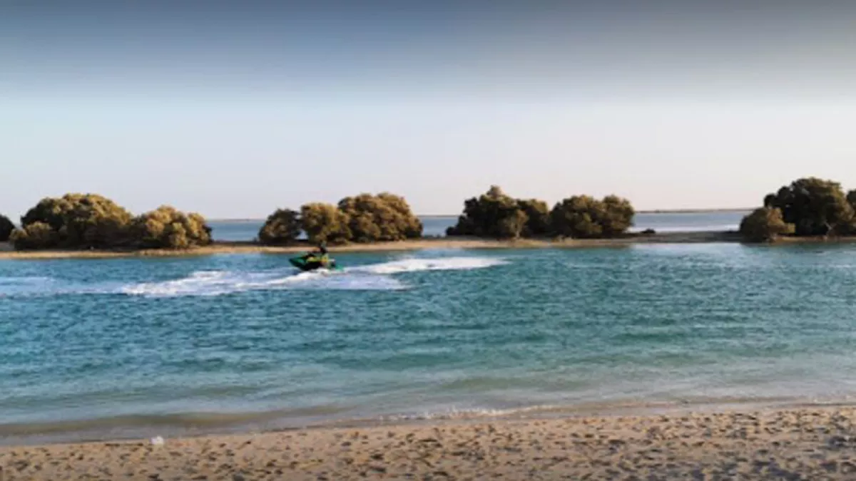 Al Thakira Mangroves Forest END 5