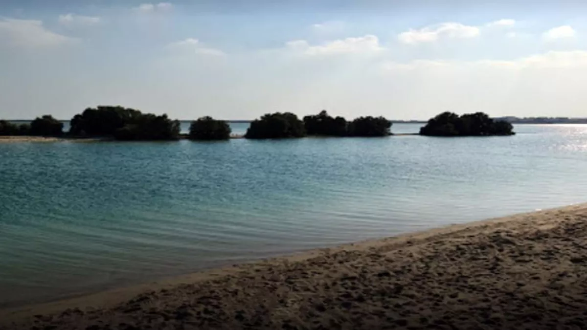 Al Thakira Mangroves Forest END 2