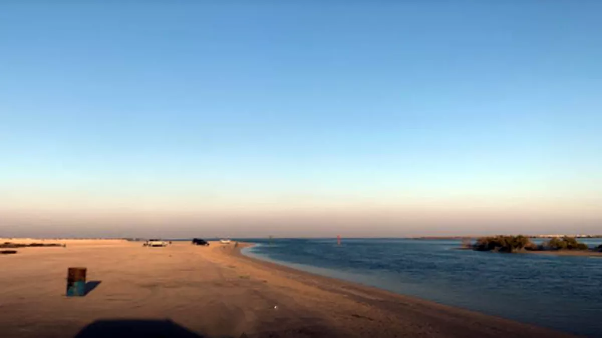 Al Thakira Mangroves Forest END 7