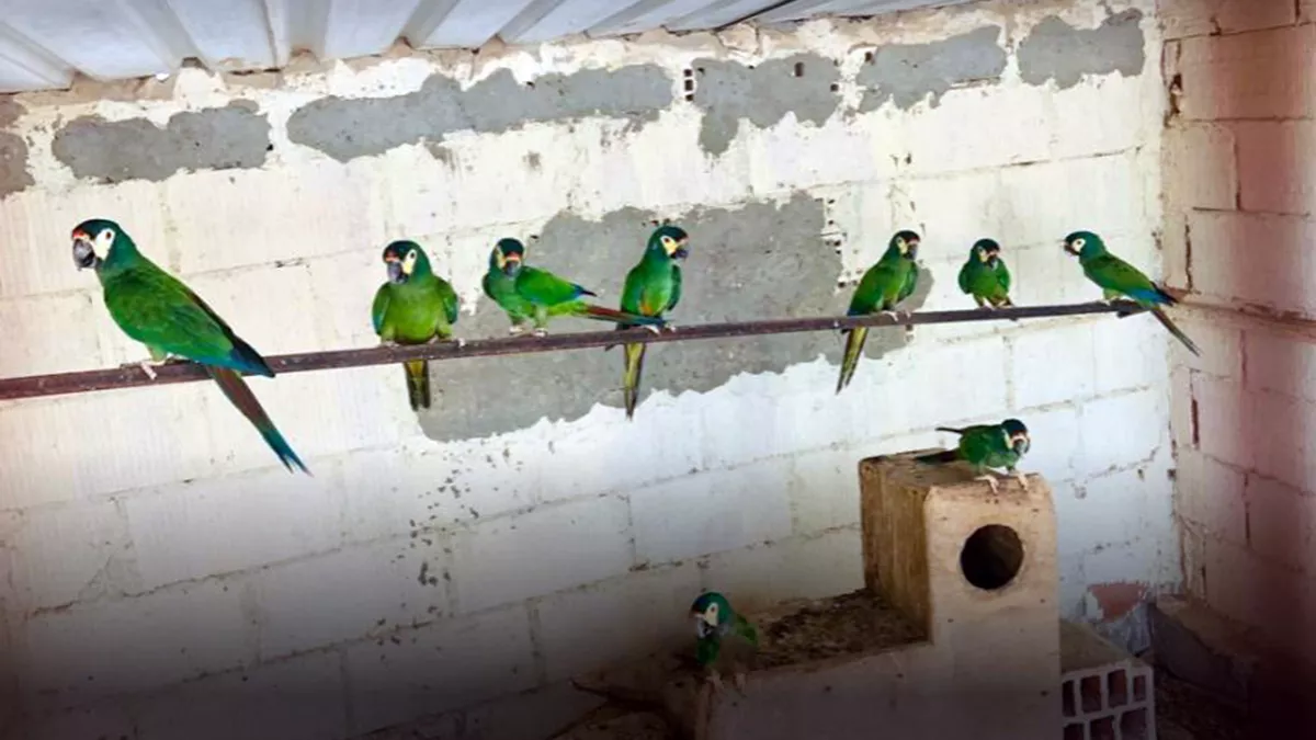 Al Dosari Zoo and Game Reserve 4