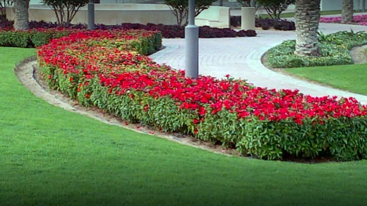 Izghawa Family Park 4