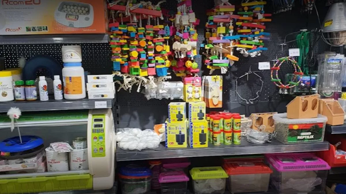 Mini Zoo Qatar Shopping,Pet store Doha Doha Directory