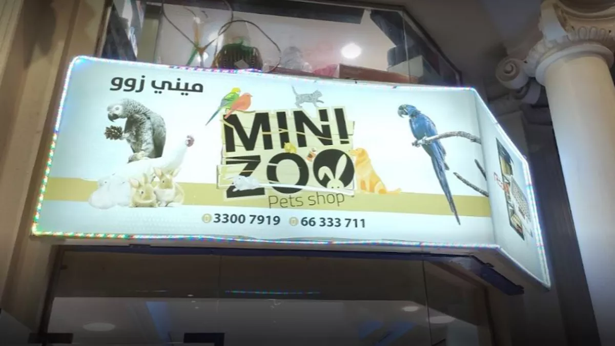 Mini Zoo Qatar 6