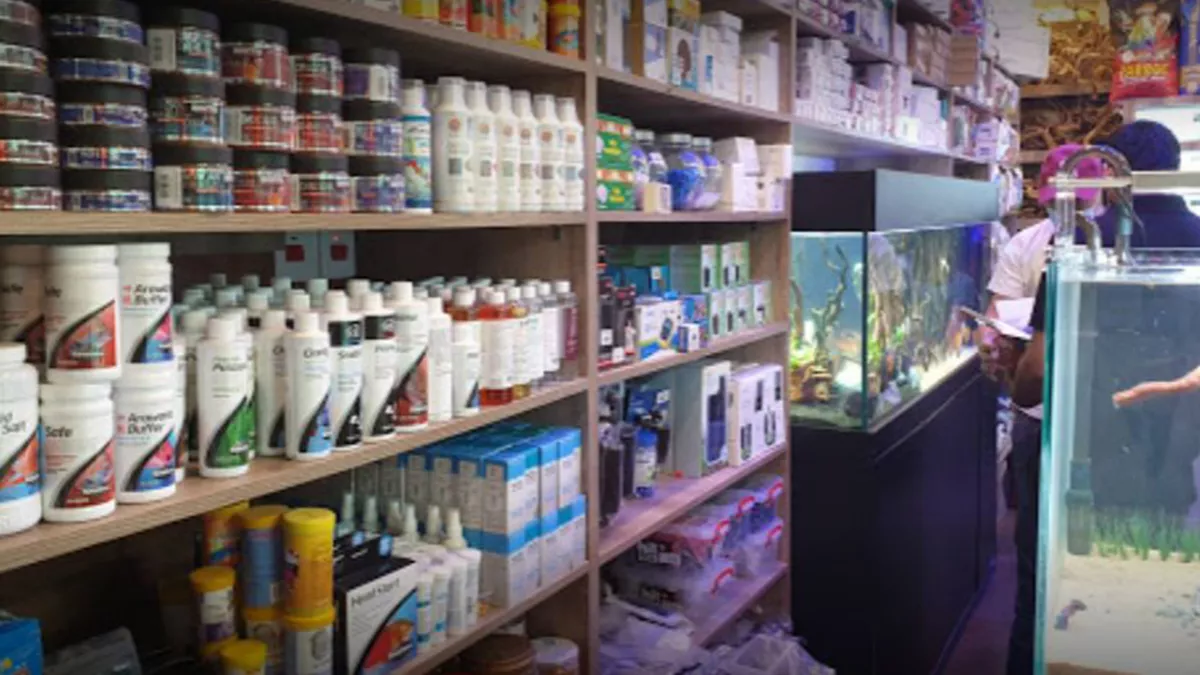 Seven shores aquatic pet store 2