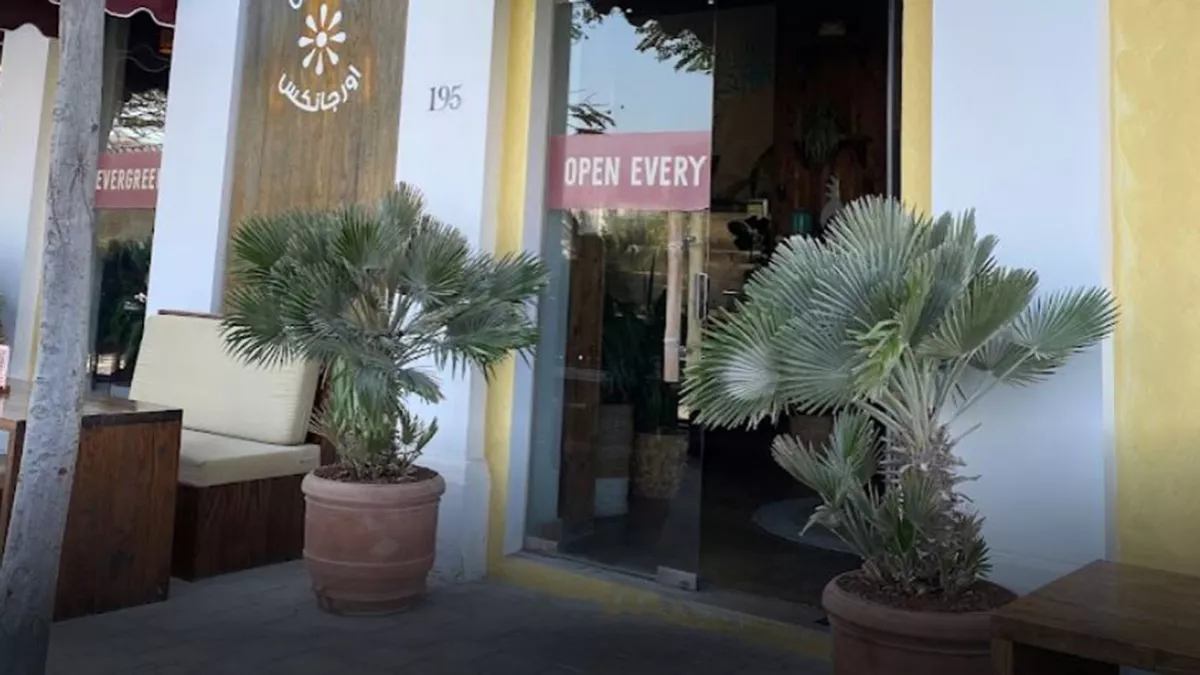 Evergreen Organics Café 4