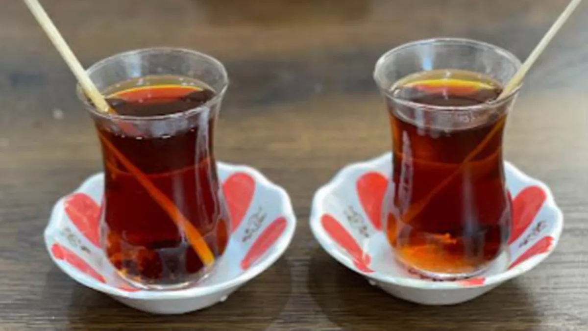 Ottoman Palace Restaurant 2