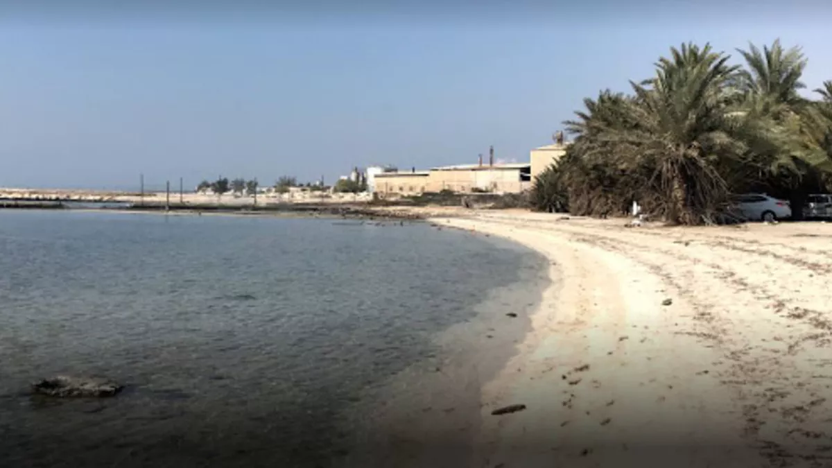 Umm Bab Beach ( Palm Tree Beach ) 2