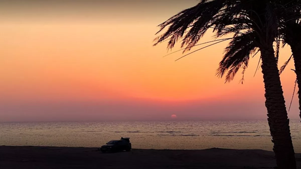 Umm Bab Beach ( Palm Tree Beach ) 7