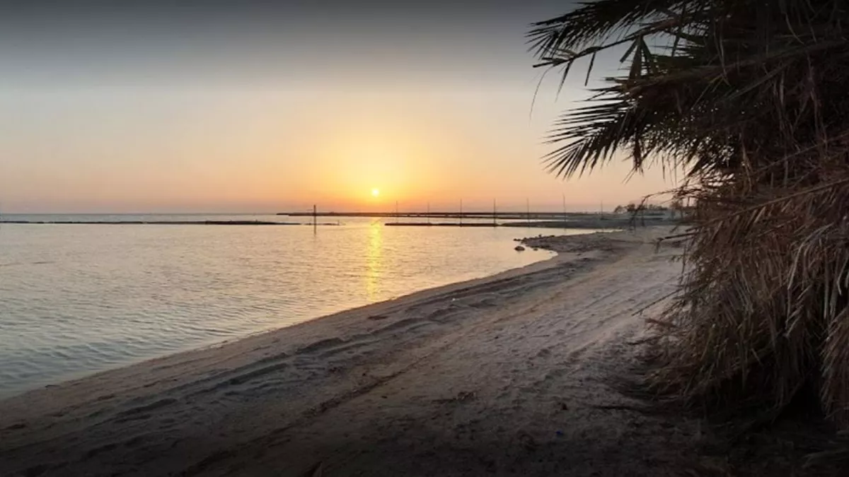 Umm Bab Beach ( Palm Tree Beach ) 1