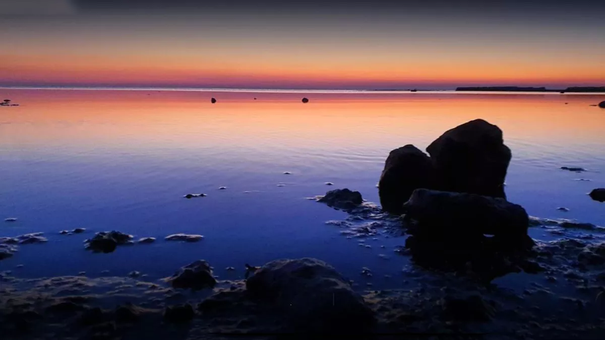 Umm Bab Beach ( Palm Tree Beach ) 4