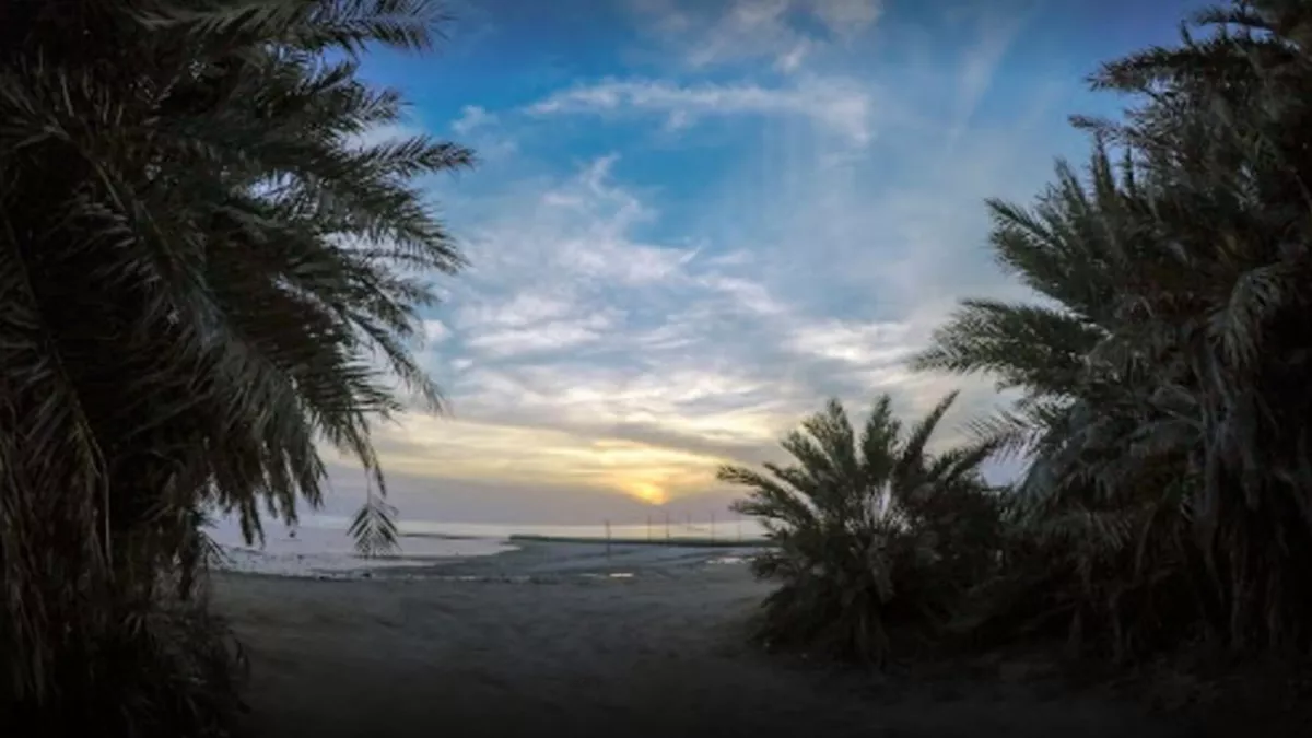 Umm Bab Beach ( Palm Tree Beach ) 5