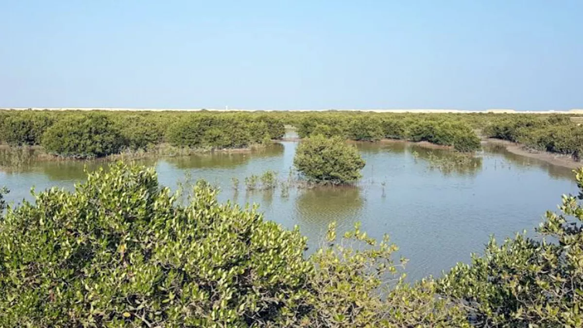 Purple Island (Al Khor Island) 4