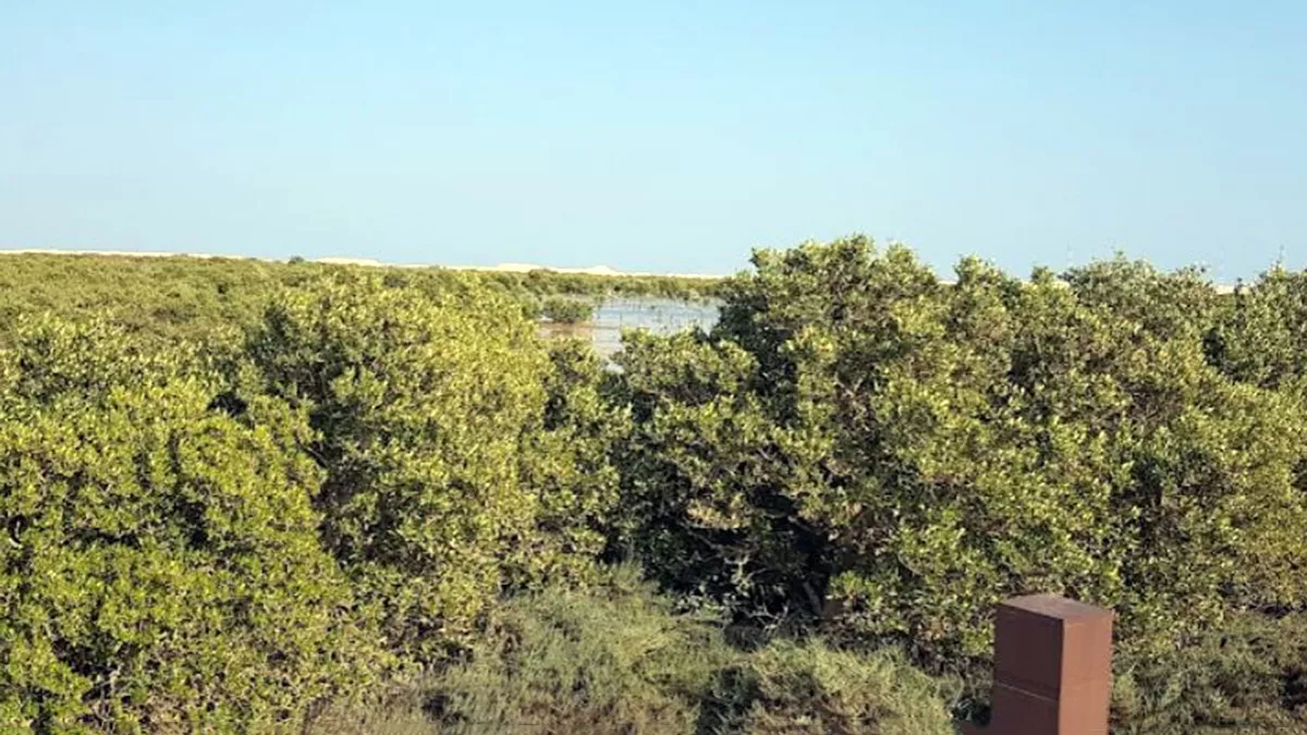 Purple Island (Al Khor Island) 2