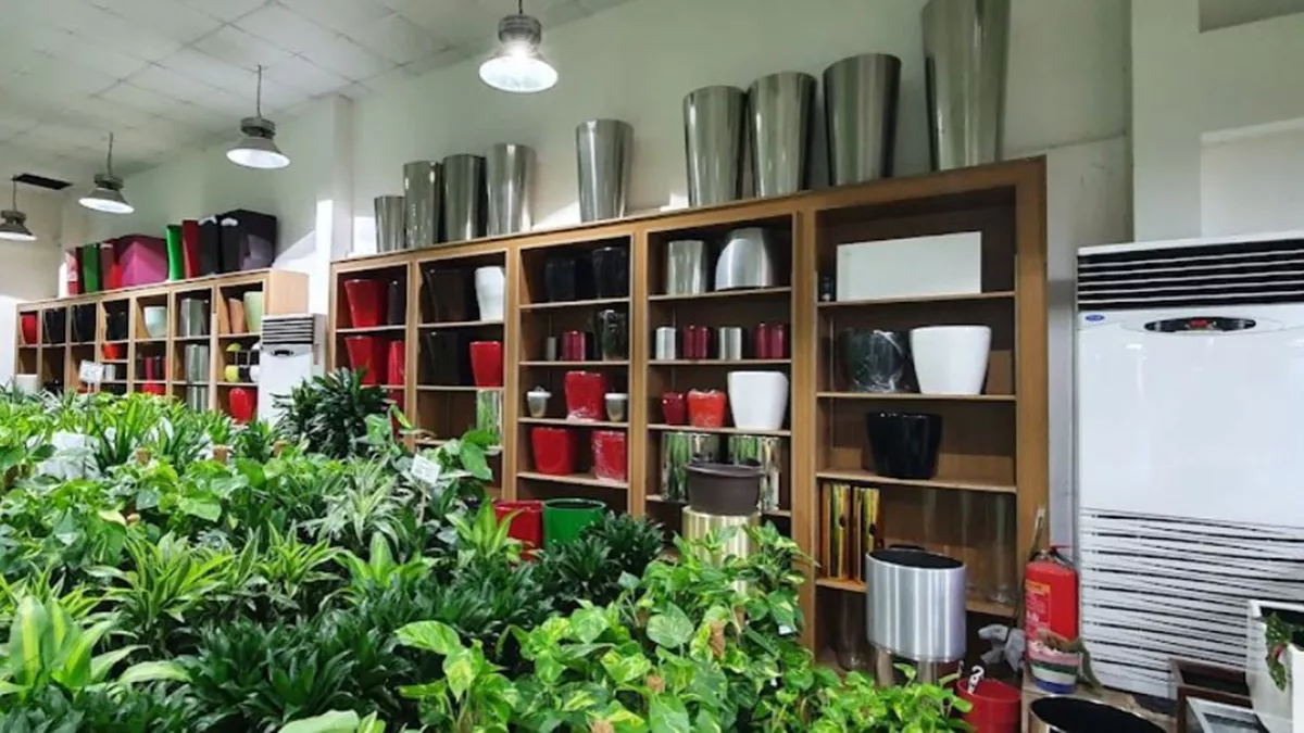 Floranza International Nursery W.L.L. 1