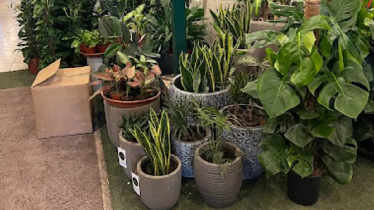 The Garden Centre W.L.L. 4