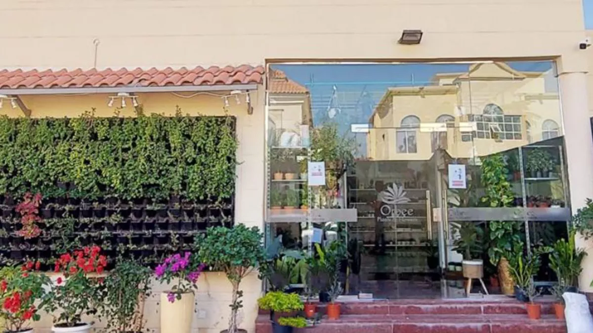 Orbee Plants and Flowers - Al Thumama 4