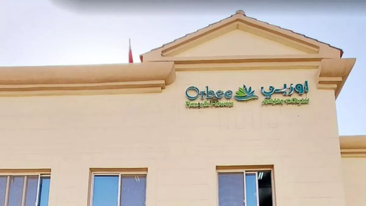 Orbee Plants and Flowers - Al Thumama 2