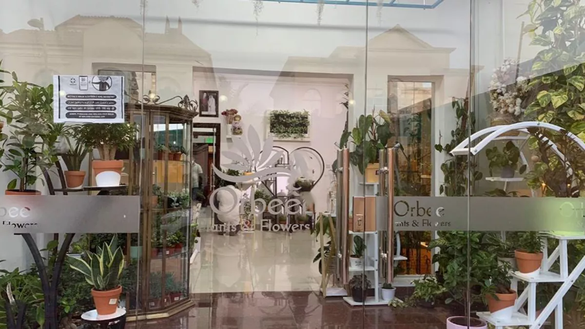 Orbee Plants and Flowers - Al Thumama 3