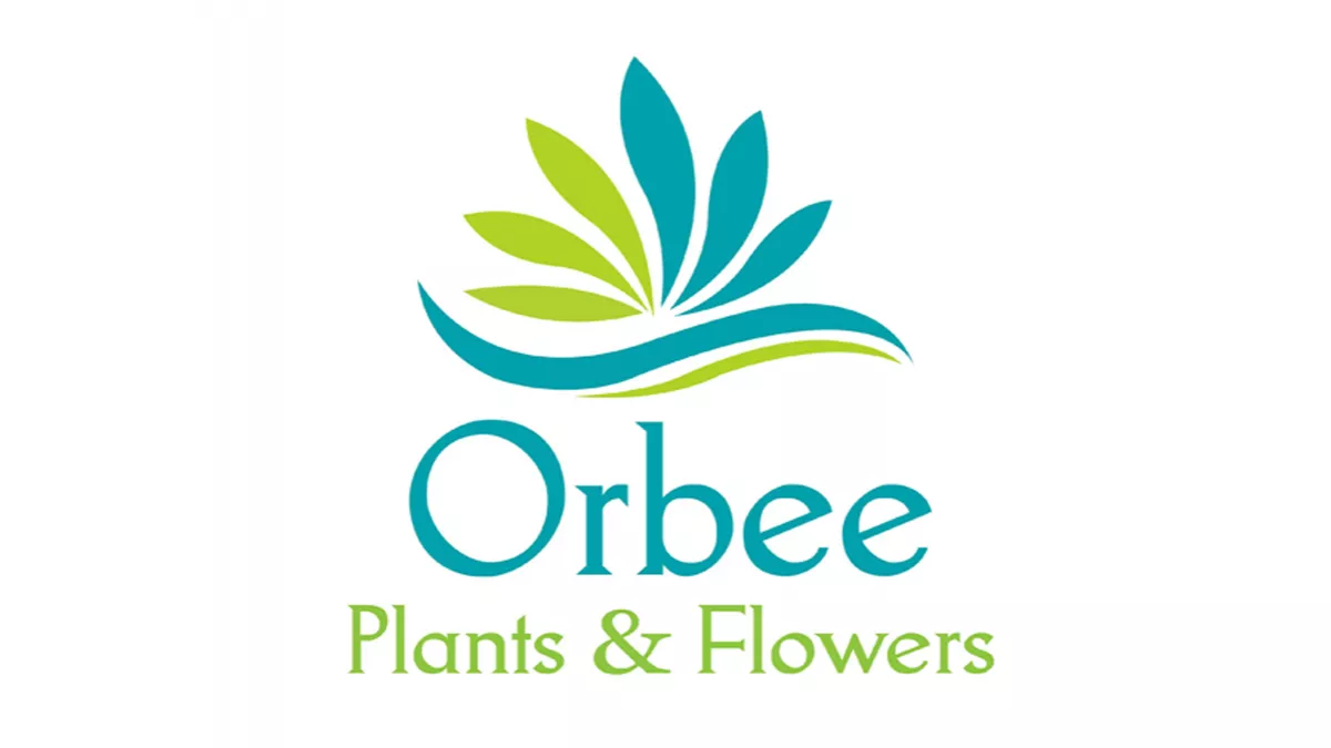 Orbee Plants and Flowers - Al Thumama 5
