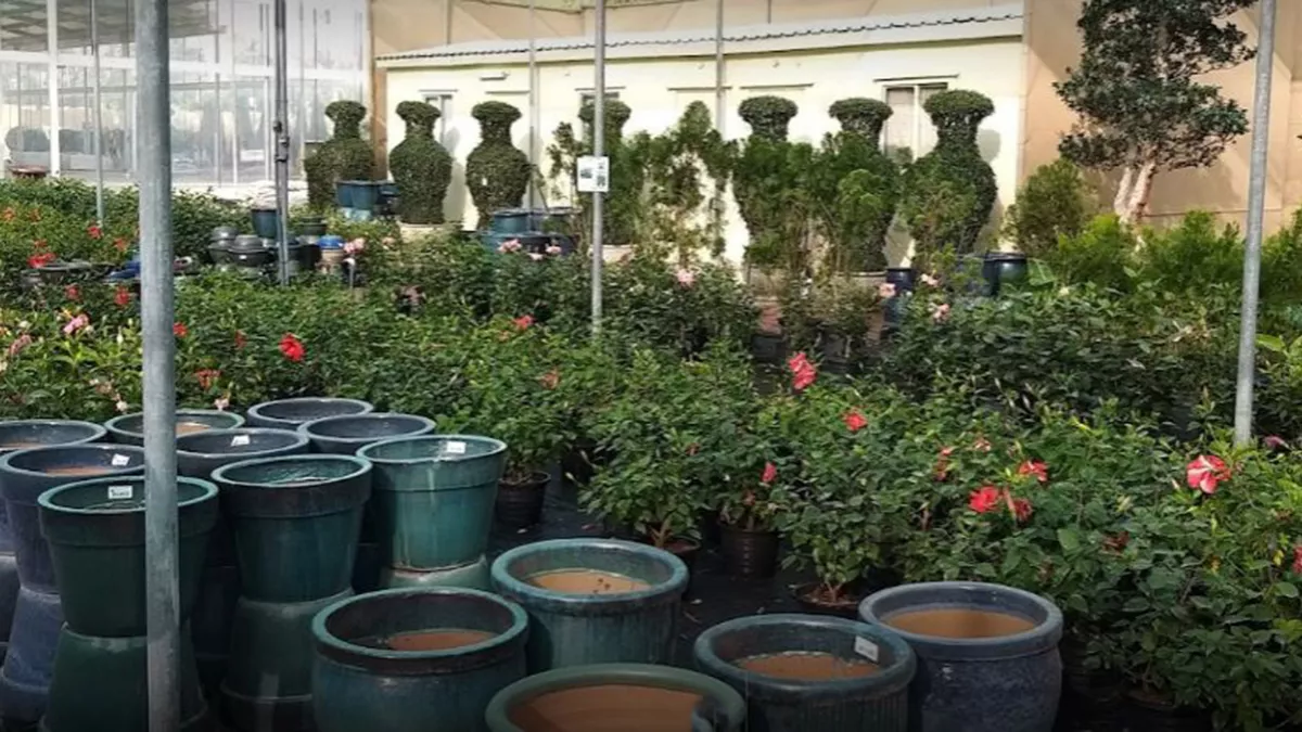 Desert Green Qatar 7