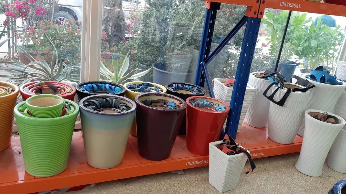 Desert Green Qatar 4