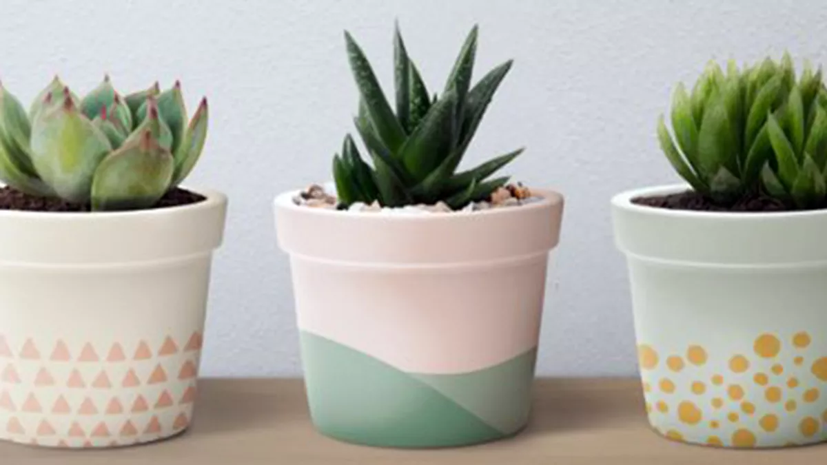 Green World Trading and Contracting W.L.L. 1