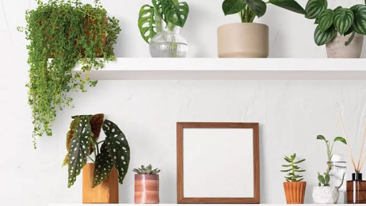 Green World Trading and Contracting W.L.L. 2