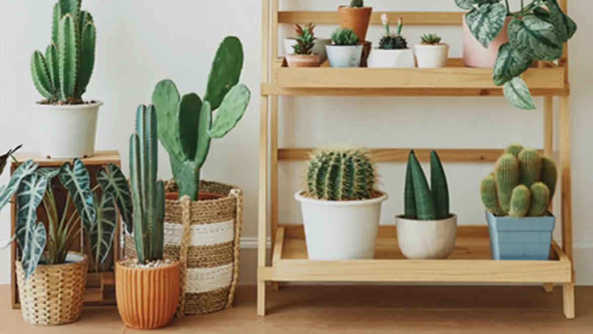 Green World Trading and Contracting W.L.L. 3