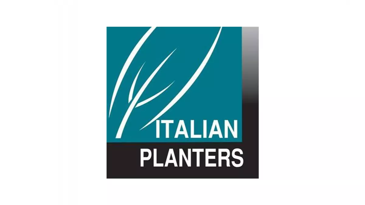 Italian Planters Qatar 3