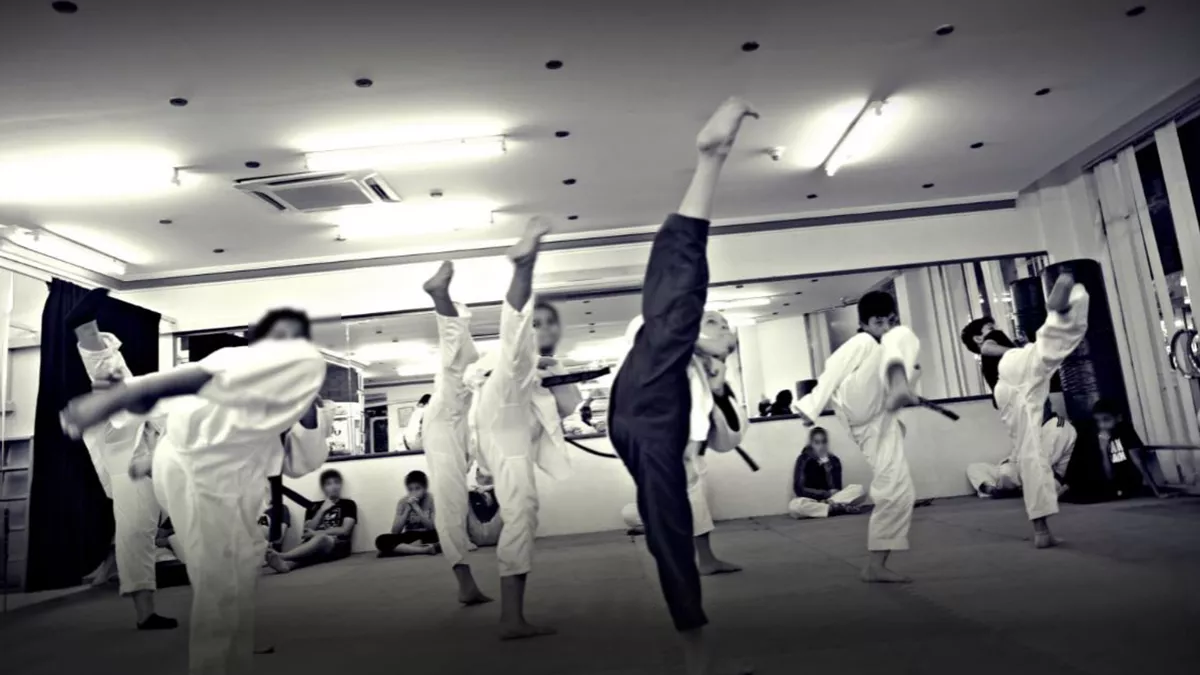 Qatar Martial Arts Center (QMC Qatar) 1