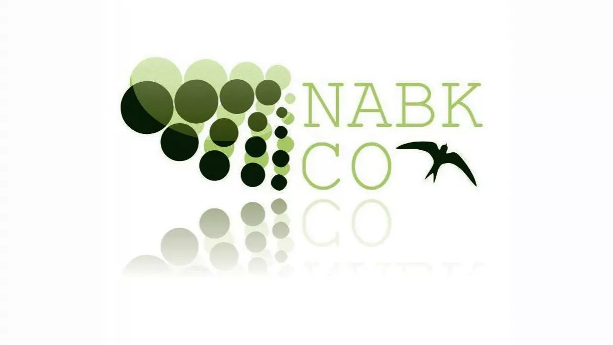 NABK CO. For Trading and Construction 1