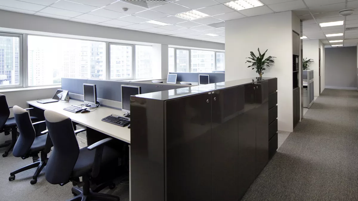 Softzone Interiors 1