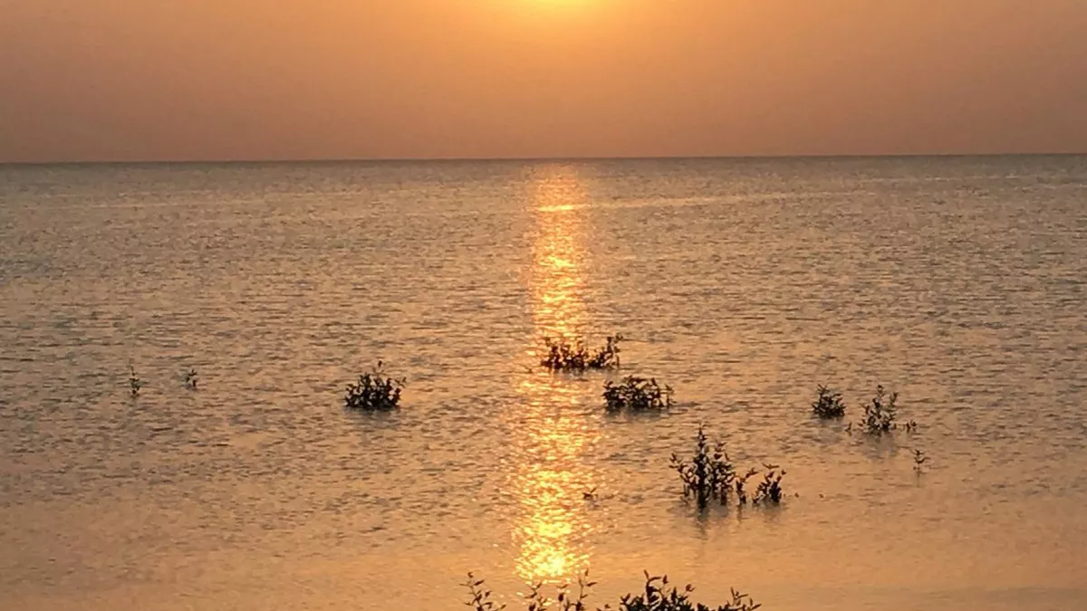 Simaisma Family Beach 1