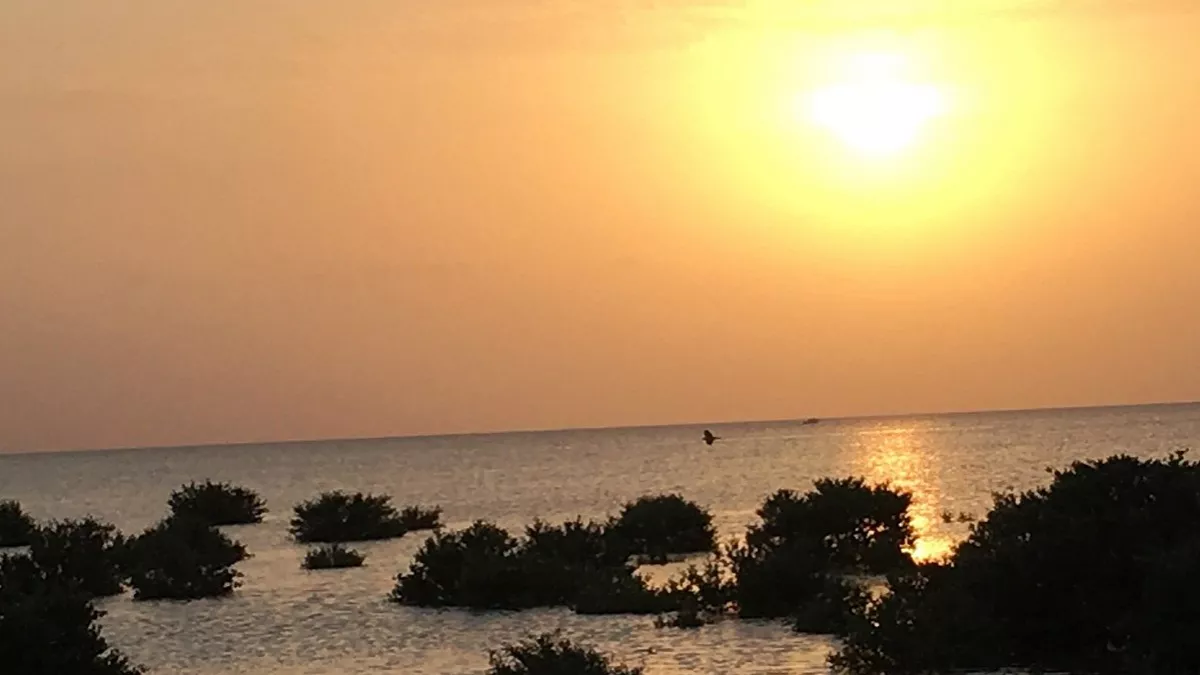 Simaisma Family Beach 2